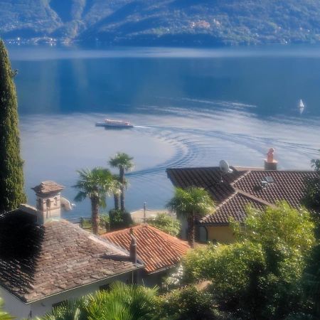 Residence Venus Garden Brissago Exterior foto
