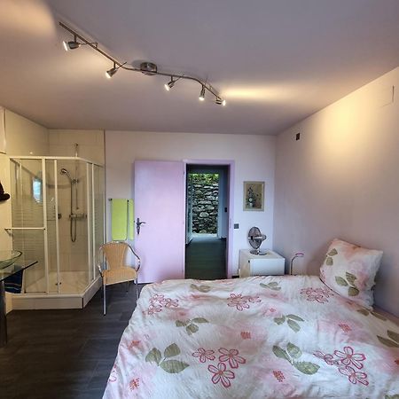 Residence Venus Garden Brissago Habitación foto