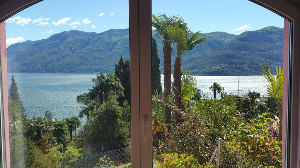 Residence Venus Garden Brissago Habitación foto