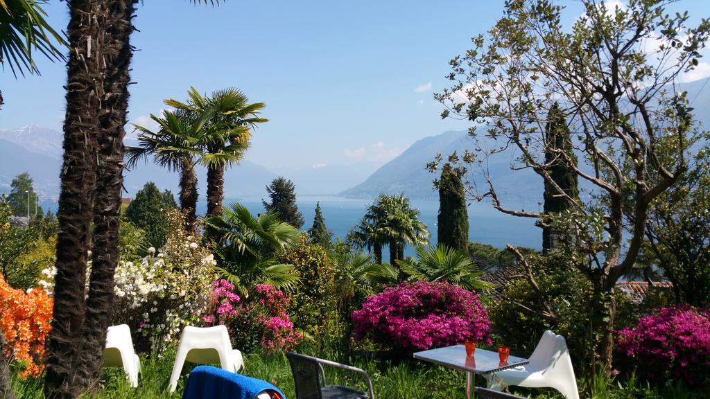 Residence Venus Garden Brissago Exterior foto