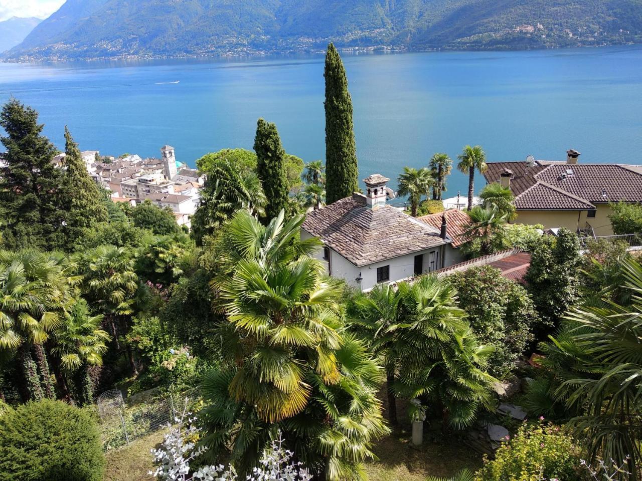 Residence Venus Garden Brissago Exterior foto